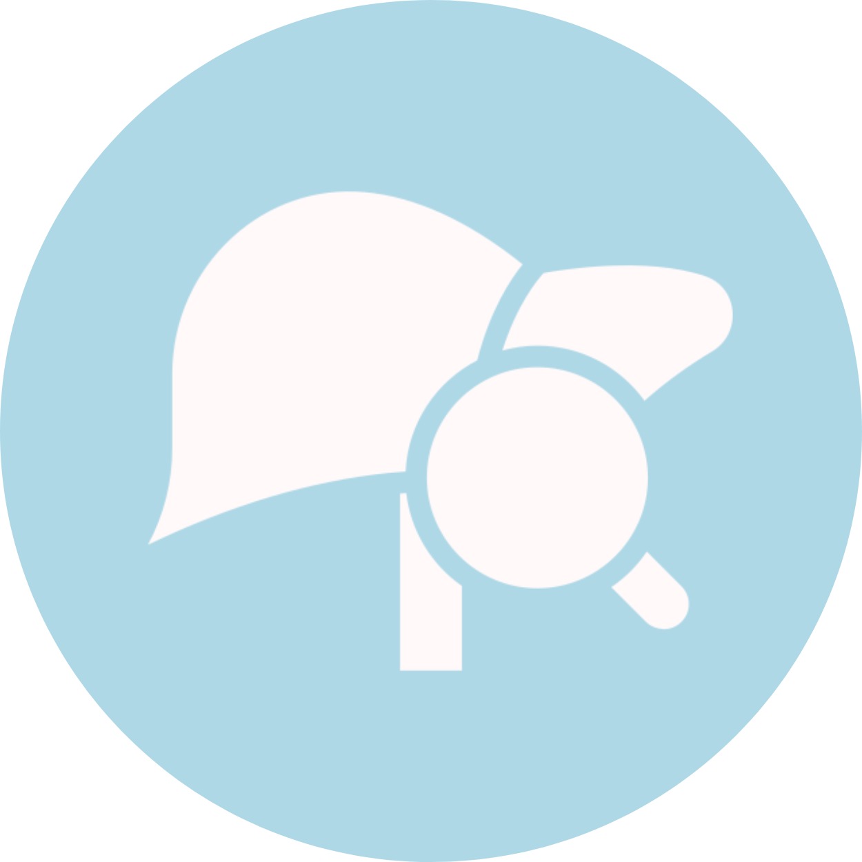 gallery section images six