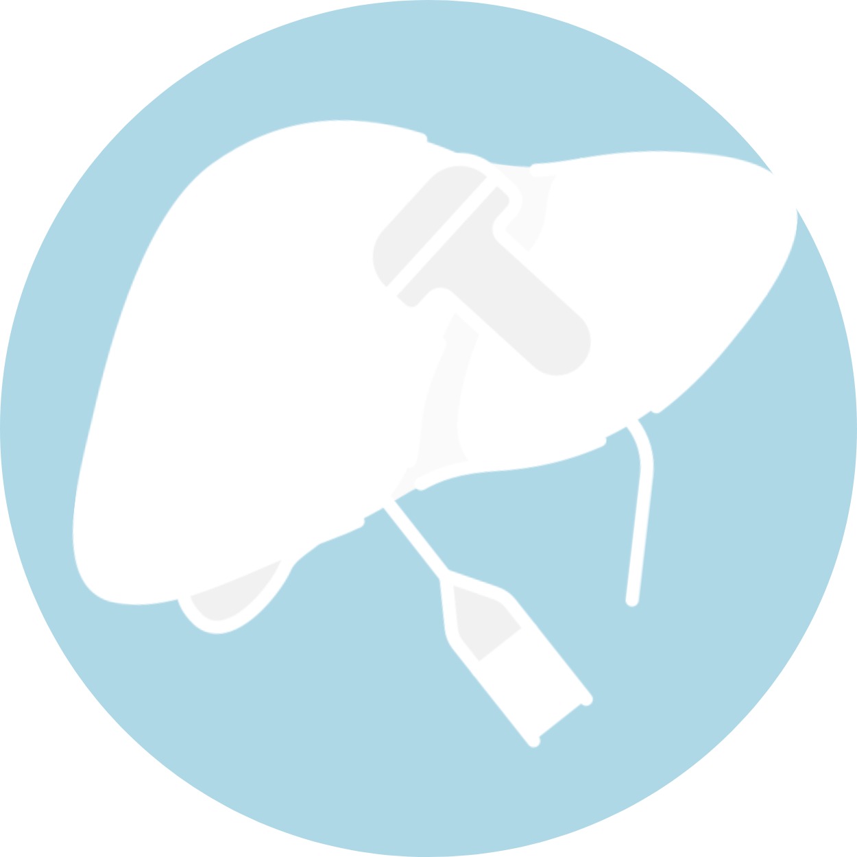 gallery section images five