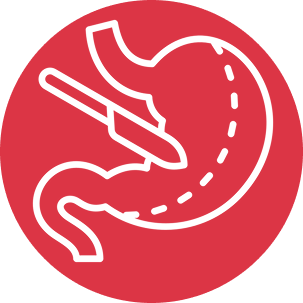 gallery section images one