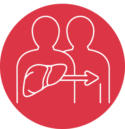 gallery section images one