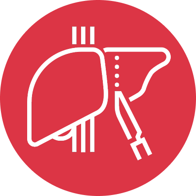 gallery section images one