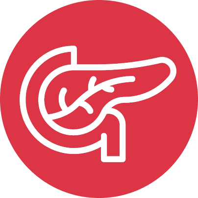 gallery section images one