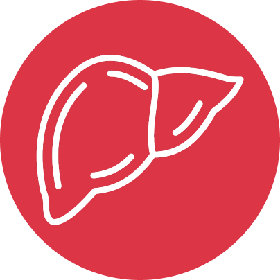 gallery section images one