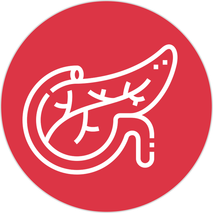 Pancreas